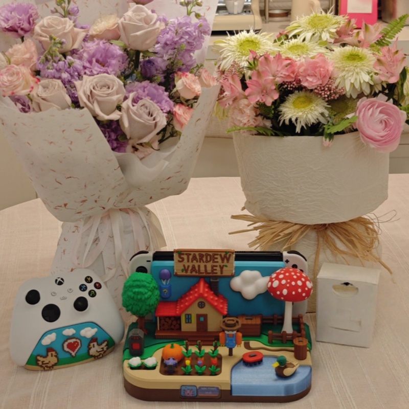 Switch Dock Stardew Valley Far - Gaming Console And 评论和价格